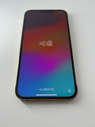Apple iphone pro max - 13,