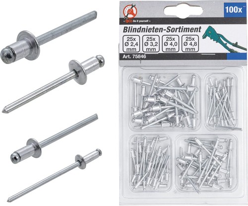Bgs assortimento rivetti - bgs,