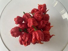 Peperoncino piccante fresco