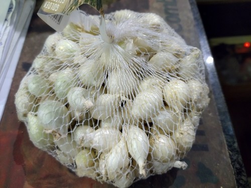 Cipolla bianca bulbo semina - bulbo, da