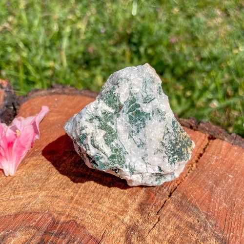 Pietra agata albero grezzo - pietra, di