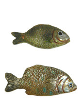 Pesci per Pastori Alti cm 9/20