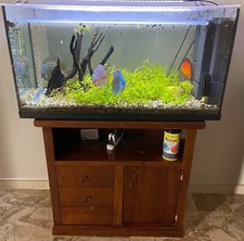 acquario completo di pesci, mobiletto e accessori. 