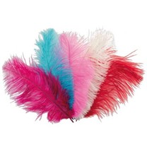 Pezzi piume struzzo - pezzi,