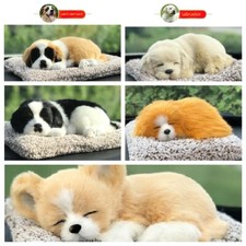 Adorabile Cucciolo Dormiente