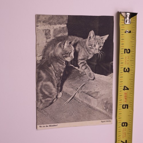 Cartolina tedesca rppc epoca - tedesca,