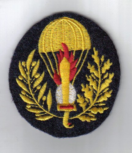 Militaria brevetto da - [militaria], manica