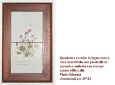 Quadro cornice stampa piante