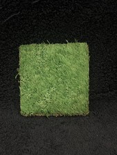 Chicago Bears Segmento