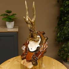 Corna di Cervo Grandi Hl Fino