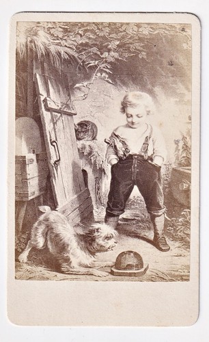 Cane gatto topo - gatto, caccia