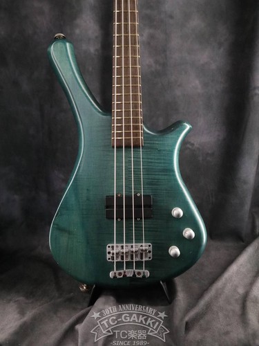 Warwick 1995 fortress - 1995,