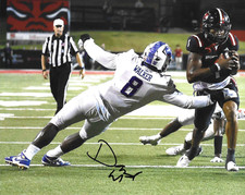 TAMPA BAY BUCCANEERS DAVID