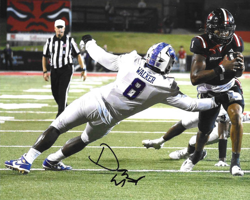 Tampa bay buccaneers david - bay,