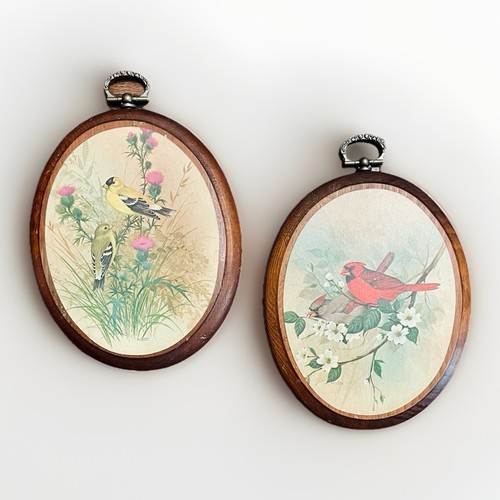 Set stampe uccellini vintage - stampe,