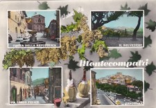 MONTE COMPATRI: 4 vedute e ...il vino  1964