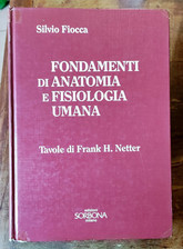FONDAMENTI DI ANATOMIA E FISIOLOGIA UMANA '92 Volume Italia Leggere descrizione 
