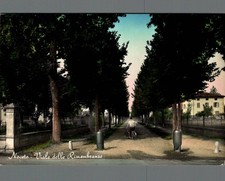 Parma Noceto Viale delle