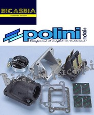 7984 - COLLETTORE POLINI