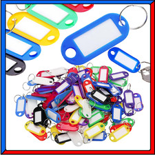 100 Tag Portachiavi Targhette Identificative Scrivibili per Organizzare Chiavi