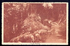 il bel Cadore- VENAS -Comando Presidio Militare -10 Battaglione .....23/12/1915