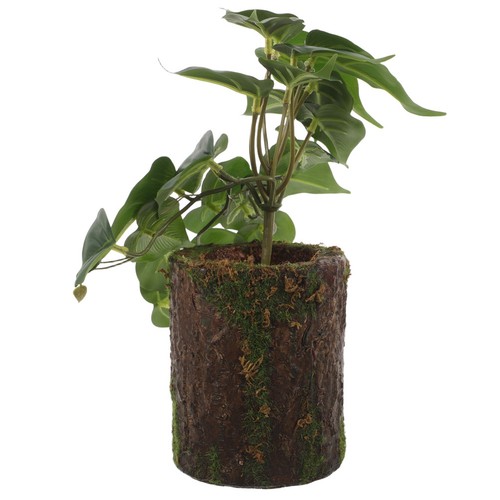 Piante finte per rettili - finte,