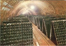 Cavas Codorniu - Cantina