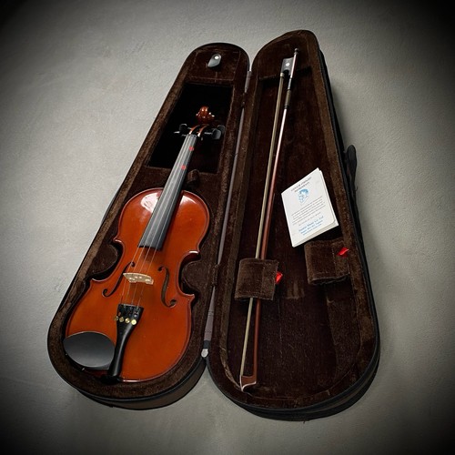 Stentor violino studentesco - violino,