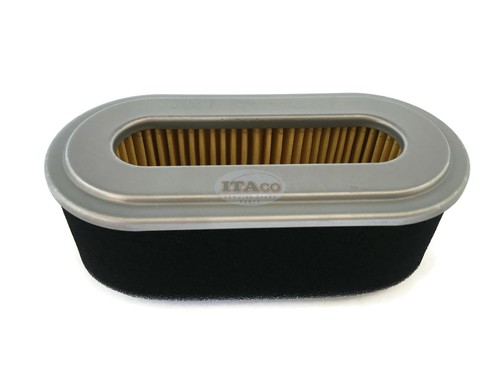 Pulitore elemento filtro - , aria