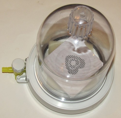 Campana vaso sottovuoto - campana,