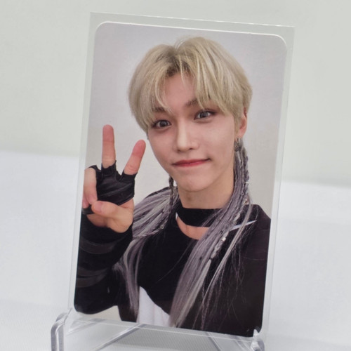 Album selca ver stray - album,