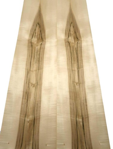 Furnier acero legno - di,