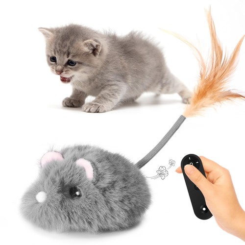 Pawingcat telecomando - pawingcat,