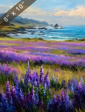 Campo di lupini vicino oceano