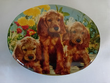 Motta Scatola Ovale Latta Cani Spaniel -(ca3)