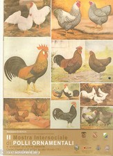 II MOSTRA INTERSOCIALE DI