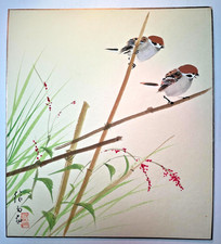 Stampa passero vintage