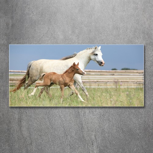 Quadro immagine arte parete - immagine,