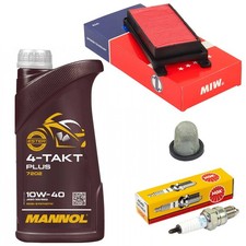 Kit Manutenzione 1L Olio