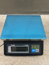 CAS SW 10RS POS Interface