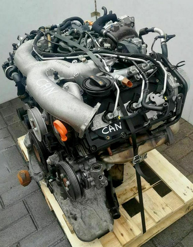 Audi tdi can cana - can,
