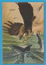 FASCISMO -Cartolina Aviazione