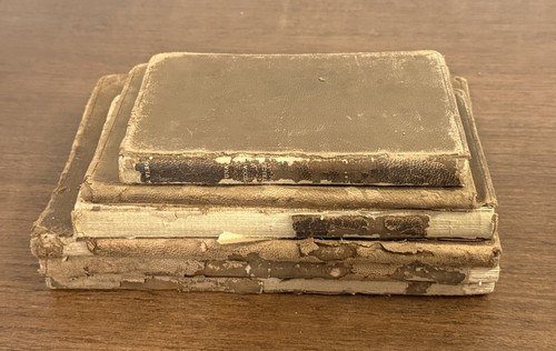 Rare 1899 book - rare,