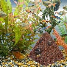  Oggetti Di Scena Per Acquari