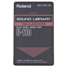Scheda ROLAND SN-U110-03