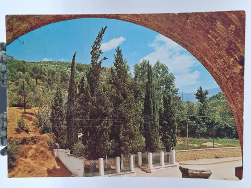 Cartolina epoca cosenza - 🟢,