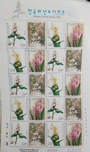 2004 corea orchidee - 2004,