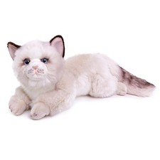 lilizzhoumax Gatto Ragdoll