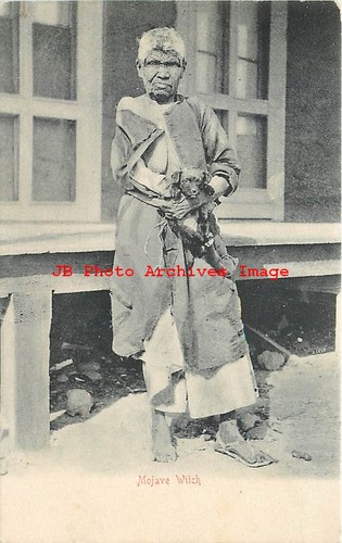 Indiano nativo americano cane - indiano,