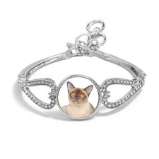 Burmese Cat Silver Colour